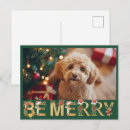 Recherche de compagnon cartes postales Mignon