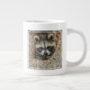 Recherche de creux tasses Faune