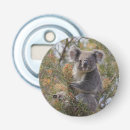 Recherche de koala ouvre bouteilles Faune