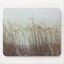 Recherche de dunes plage tapis souris Côte