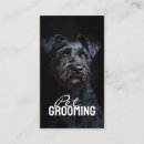 Recherche de terrier cartes visite Marcheur de chiens