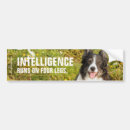 Recherche de chien colley voiture autocollants Animal