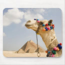 Recherche de égypte tapis souris Histoire