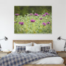 Recherche de pavots art Photographie de la nature