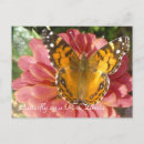 Recherche de zinnia cartes postales Papillon