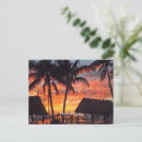 Recherche de floride etats unis cartes postales Palmiers