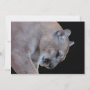 Recherche de puma vœux cartes Pomme