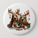 Recherche de basset hound badges Chiot
