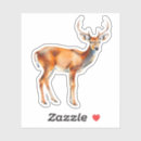 Recherche de cerf de virginie autocollants Bois
