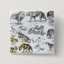 Recherche de carnivore badges Sauvage