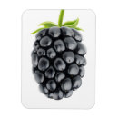 Recherche de pour blackberry magnets Mûre
