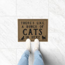 Recherche de felines Minou