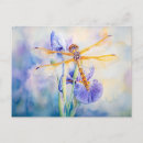Recherche de illustration de libellule cartes postales Aquarelle