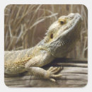 Recherche de barbu autocollants Animal