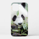 Recherche de panda géant iphone coques Mignon