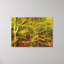 Recherche de toile de nature Arbre