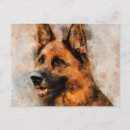 Recherche de chien de berger cartes postales Aquarelle
