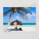 Recherche de chaise longue cartes postales Palmier