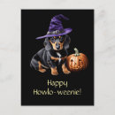 Recherche de chiot drôle cartes postales Humour