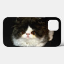 Recherche de chat de ragdoll iphone coques Chaton