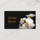 Recherche de orchidée blanche cartes visite Nature