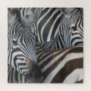 Recherche de rayures de zèbre puzzles Animaux