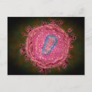 Recherche de biologie cellulaire posters Biomolécule