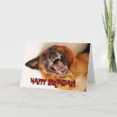 Recherche de allemand drôle anniversaire cartes Chien