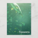 Recherche de aquarium cartes postales Océan