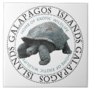 Recherche de géant carreaux Reptile