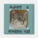 Recherche de aux yeux bleus magnets Photographie