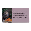 Recherche de cat labels Cats
