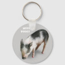 Recherche de cochon porteclés Animal