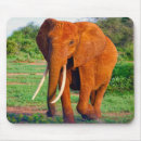 Recherche de adult mousepads Faune