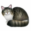 Recherche de chat photo sculptures Minou