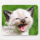 Recherche de chat humoristique tapis souris Humour