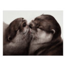 Recherche de loutres posters Animal
