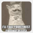 Recherche de chatons autocollants Drôle