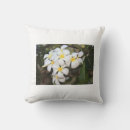 Recherche de fleur de plumeria Anniversaire