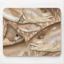 Recherche de rouget tapis souris Animal