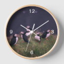 Recherche de puffin horloges Bouffon