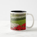 Recherche de jardin de tulipe tasses Paysage