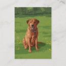 Recherche de labrador retriever cartes visite Animaux
