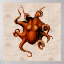 Recherche de kraken posters Céphalopode