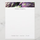 Recherche de légume photographie Moderne