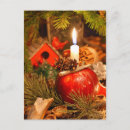 Recherche de pomme de pin cartes postales Arbre