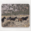 Recherche de mustang sauvage tapis souris Équestre