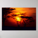 Recherche de african safari posters Nature