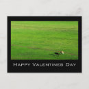 Recherche de valentine de vache vœux cartes Vaches