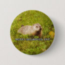 Recherche de marmotte badges Jour